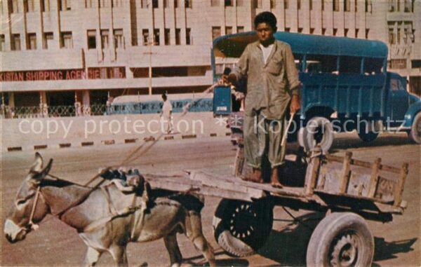 Karachi Donkey Cart