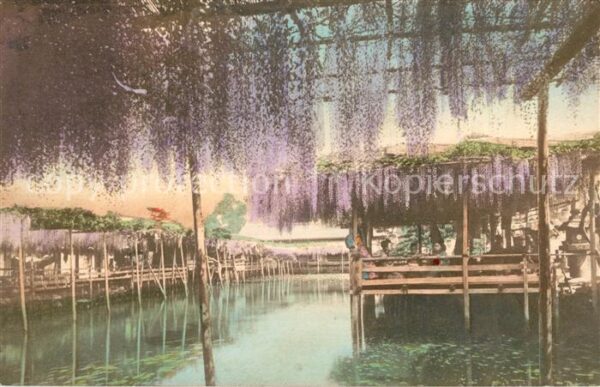 Yokohama Blauregen Terrassen