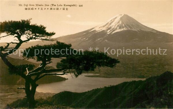 Fuji Monte Fuji