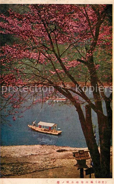 Yokohama Japanische Kirschblüte Boote