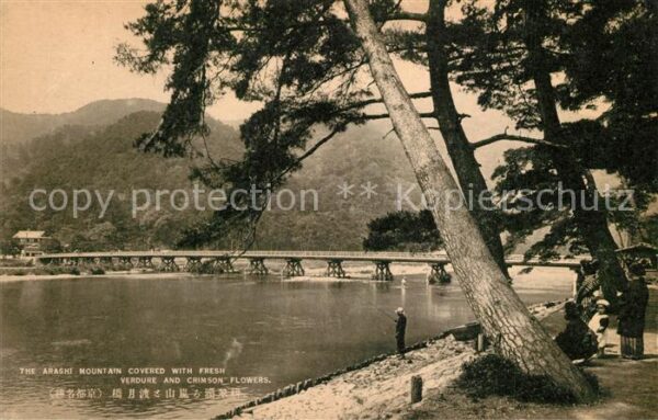Japan Arashi Mountain