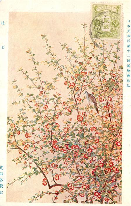 Japan Kirschblüte