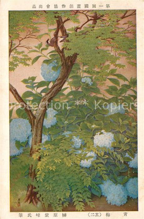 Japan Baumblüten