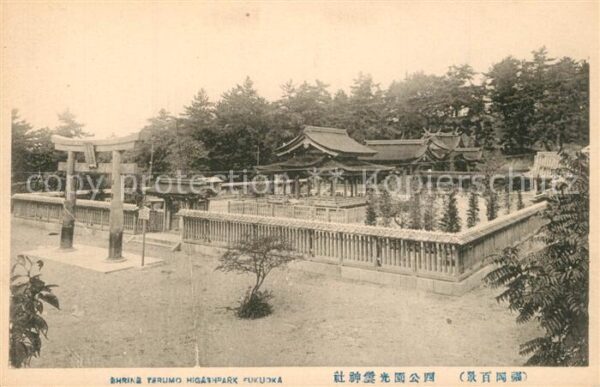 Fukuoka Shrine Tarlimo Hikashpark