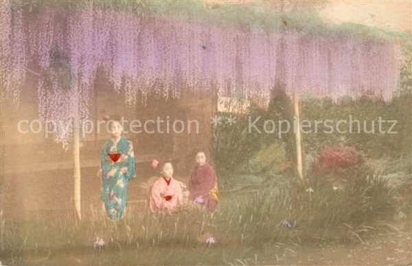 Japan Frauen Blauregen Garten