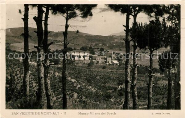 San Vicente de Mont Alt Manso Milans del Bosch