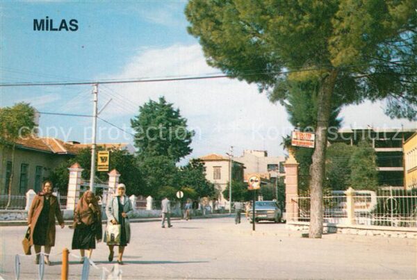 Milas sehirden bir görünüs