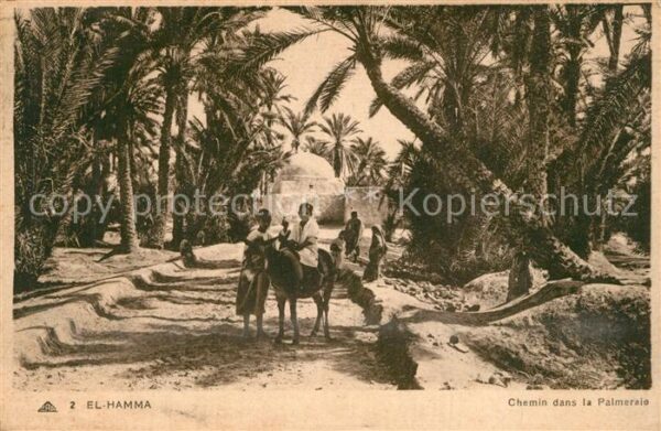 El Hamma Chemni dans la Palmeraie