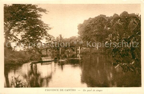 Cantho Can Tho Pont de singes