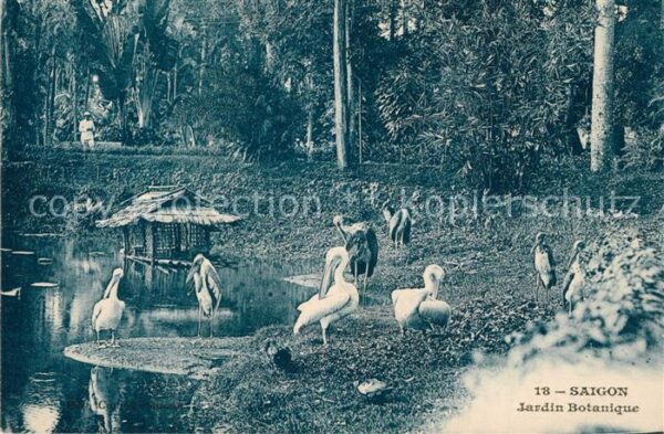Saigon Jardin Botanique