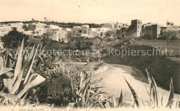 Sidi-Bou-Said Vue partielle