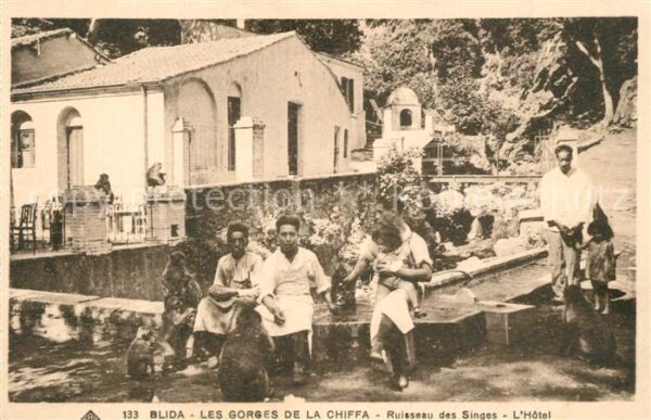 Blida Algerien Les Gorges de la Chiffa Ruisseau des Si