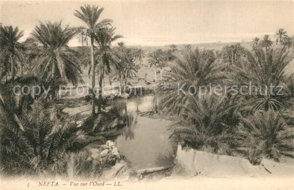 Nefta Vue sur l'Oued