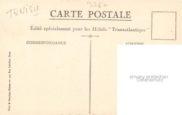 Nefta Zaonia des Quadria – Bild 2