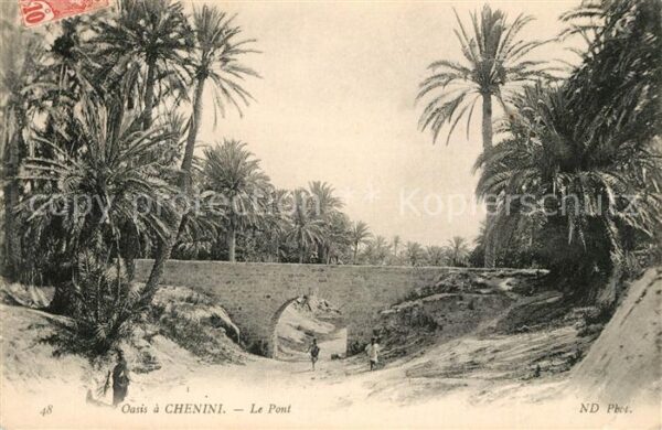 Chenini Oasis Le Pont