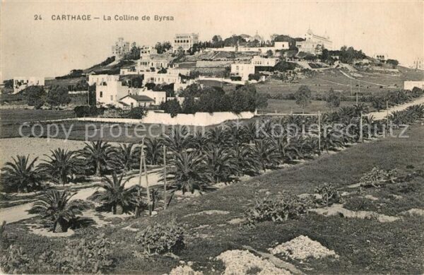 Carthage Karthago La Colline de Byrsa