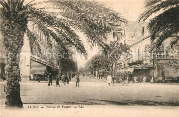 Tunis Avenue de France