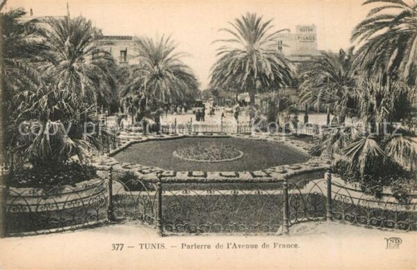 Tunis Parterre de l’Avenue de France