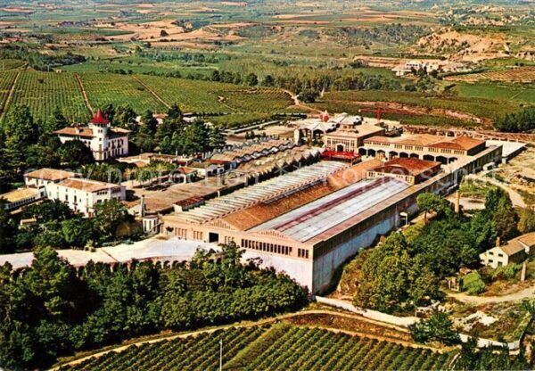 Cavas Codorniu Vue aerienne
