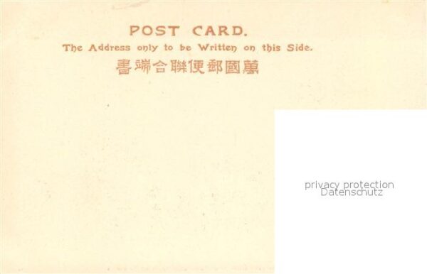 Japan O Koto San – Bild 2