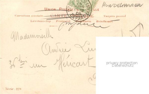 Hundekarren Laitieres – Bild 2
