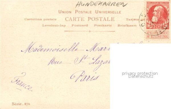 Hundekarren Laitieres – Bild 2