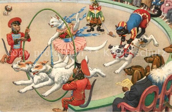 Vermenschlicht Hunde Katzen Affen Zirkus