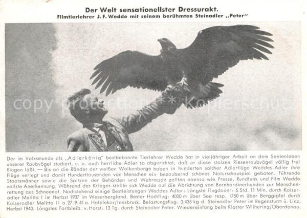 Adler Eagle Aigle Aguila Steinadler Peter Dressurakt Tierlehrer