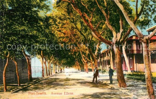 Port Tewfik Avenue Ellene