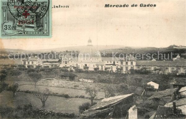 Lisboa Mercado de Gados