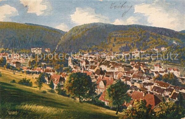 Verlag Wiedemann WIRO Nr. 2457 B Triberg Schwarzwald