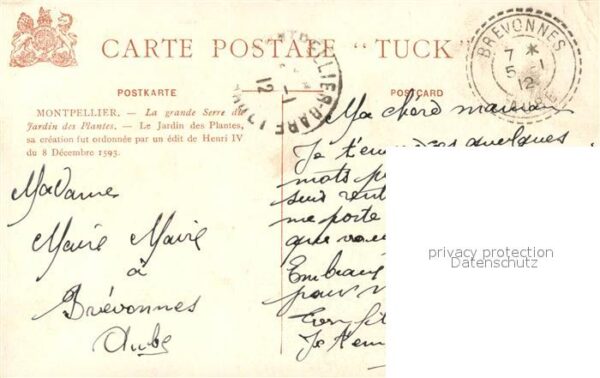 Verlag Tucks Oilette Nr. Montpellier Grande Serre Jardin des Pla – Bild 2