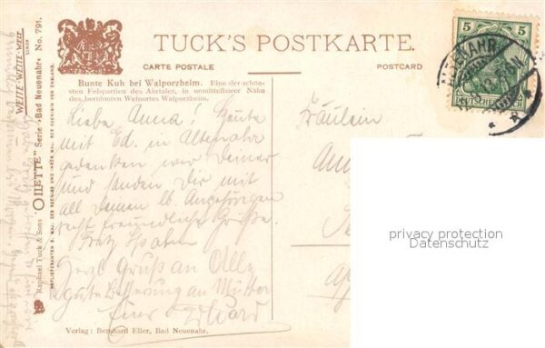 Verlag Tucks Oilette Nr. 791 Bunte Kuh Walporzheim N. Beraud – Bild 2