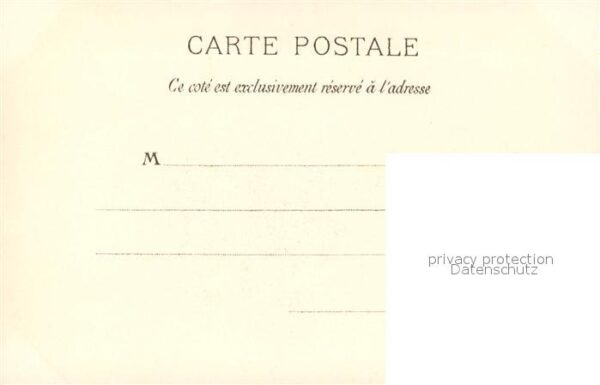 Pferde Camargue Cavales – Bild 2