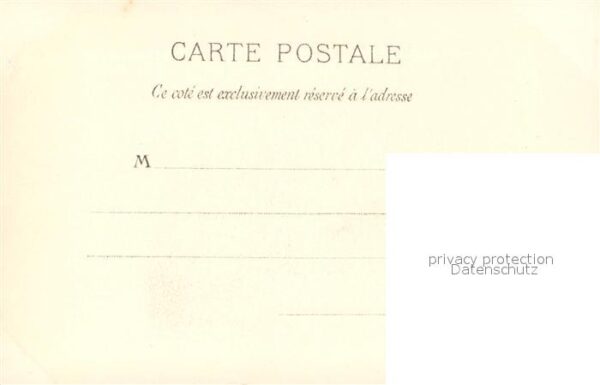 Stiere Camargue Manade de Taureaux – Bild 2