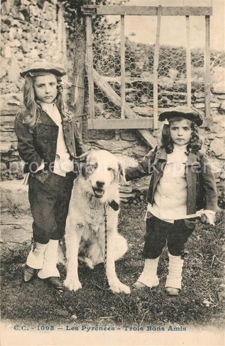 Hunde Kinder Pyrenees