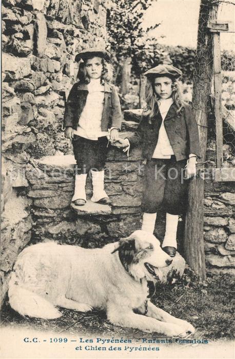 Hunde Pyrenees Enfants Ossalois Chien
