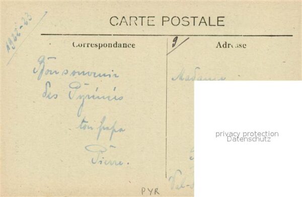 Hunde Pyrenees Enfants Ossalois Chien – Bild 2
