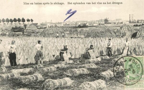 Landwirtschaft Mise en bottes apres le Sechage Belgien