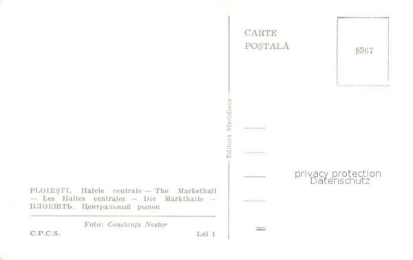Ploiesti Markthalle – Bild 2