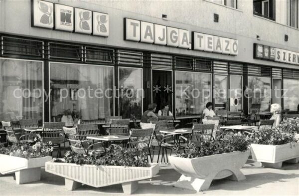 Salgotarjan Tajga Teesalon