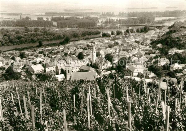Tokaj Panorama