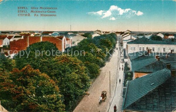 Stryj Stryi Ukraina Ulica Mickiewicza
