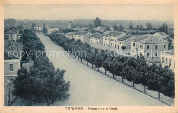 Tamara de Campos Panorama e Viale