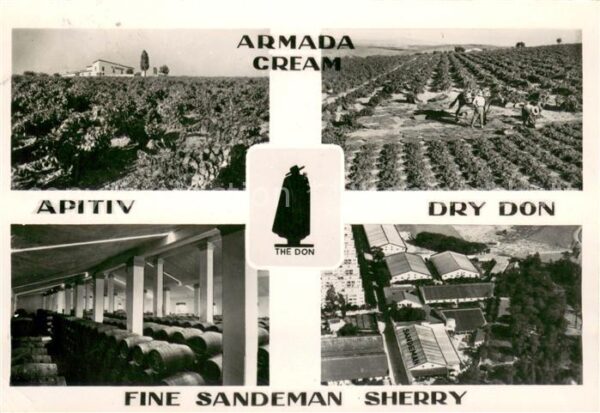 Cadiz Andalucia Sandeman Vineyards & Bodegas