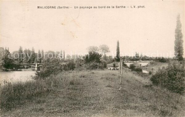 Malicorne-sur-Sarthe Un paysage au bord de la Sarthe