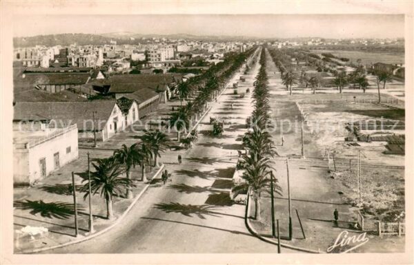 Tunis Panorama