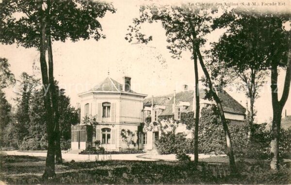 Bray-sur-Seine Le Chateau des Aulins