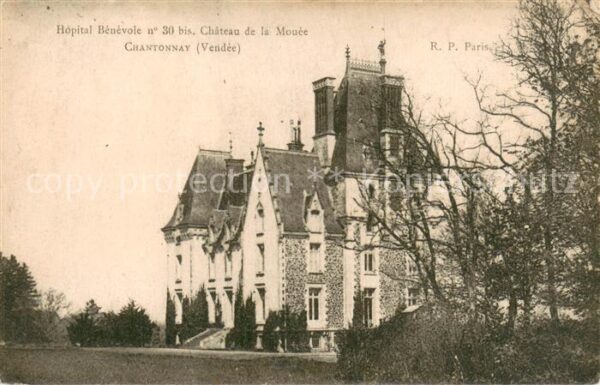 Chantonnay Bopital Benevole Chateau de la Mouee