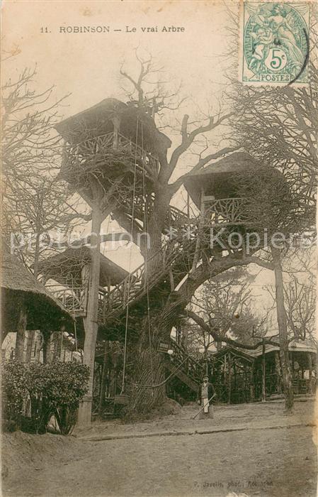 Robinson Plessis Le vrai Arbre